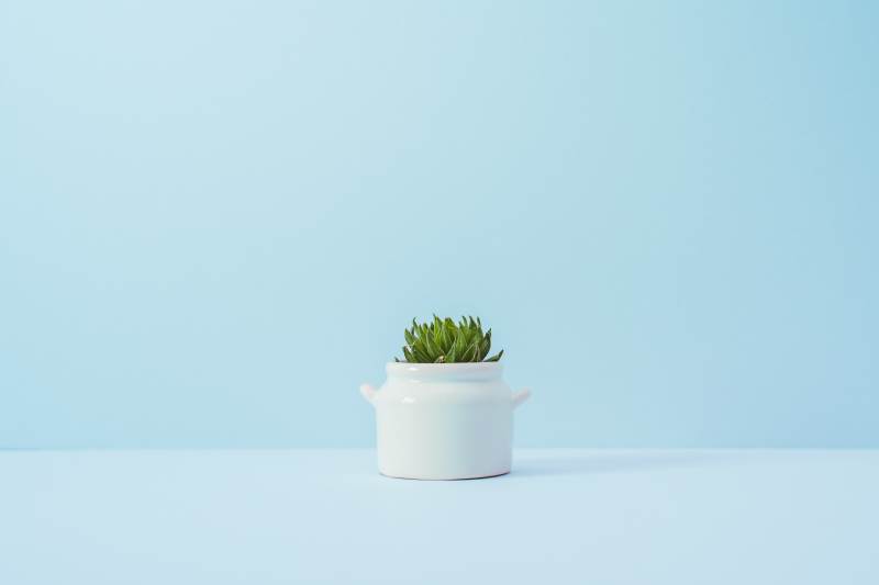 minimalizm na stronie minimalizm na stronie